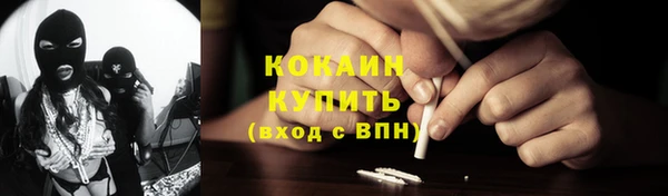 кокс Арсеньев