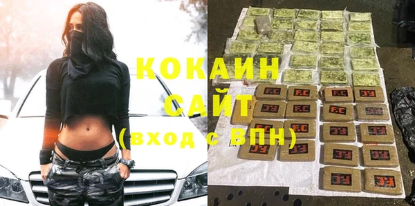 дживик Новозыбков